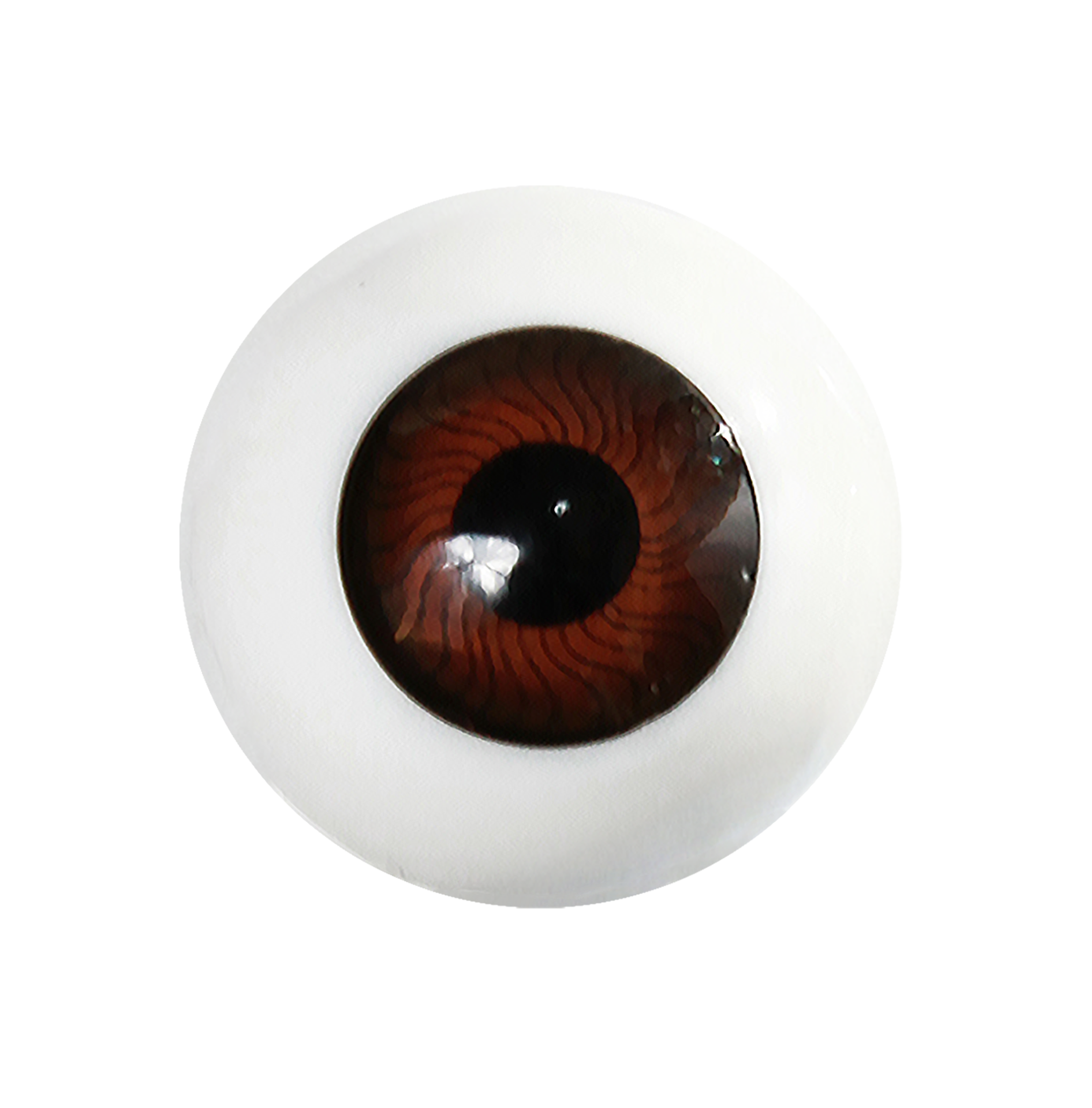 Brown Acrylic Eye Closeup
