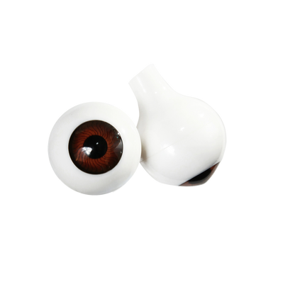 12mm Brown Acrylic Eyes