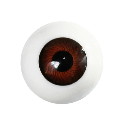 Brown Acrylic Eye Closeup