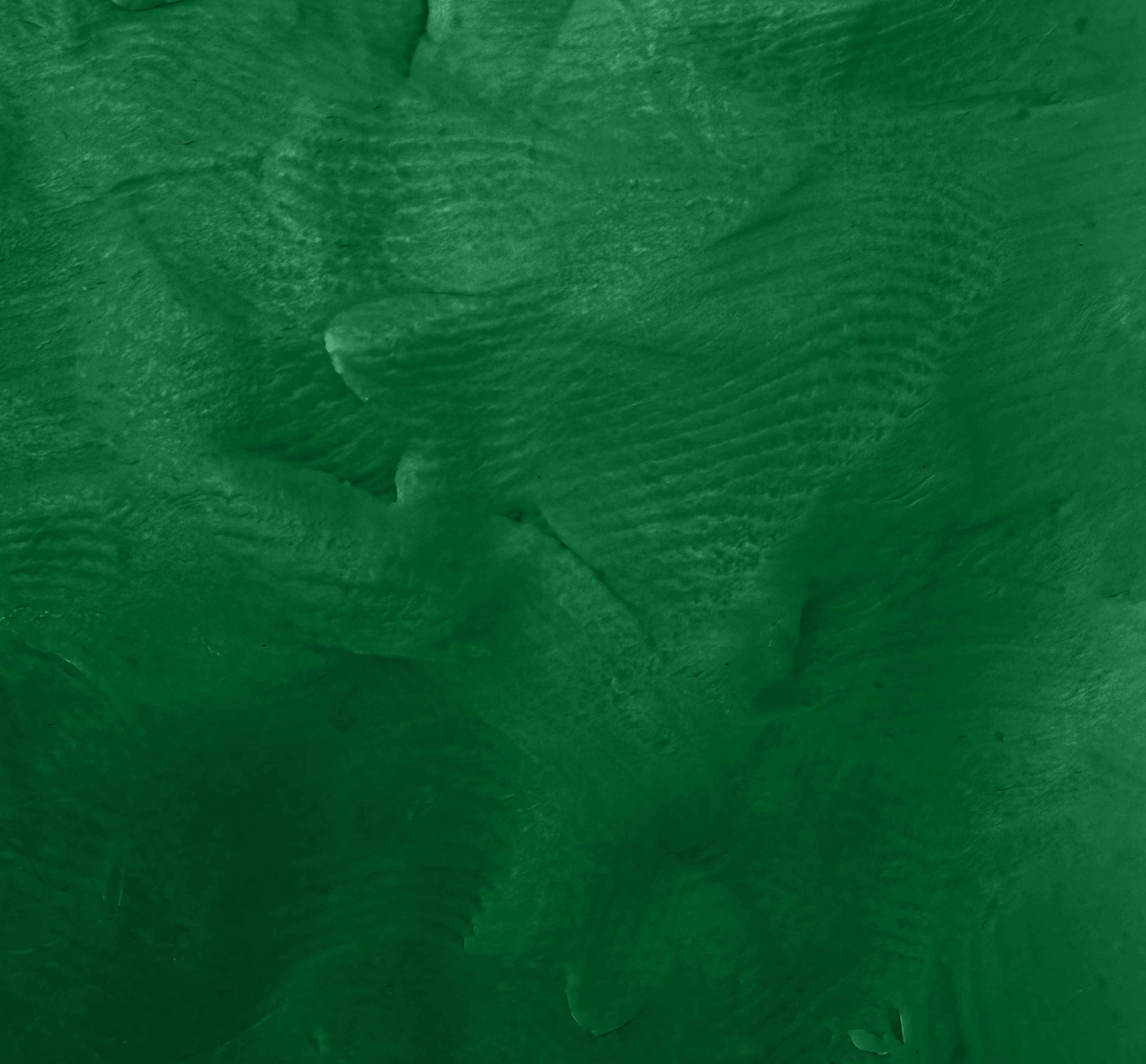 Chroma Clay Dark Green Plasticine