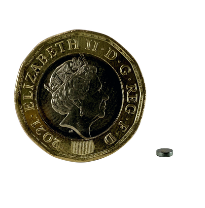 D3.0 x 0.8mm N35 Neodymium Magnet shown next to pound coin for scale.