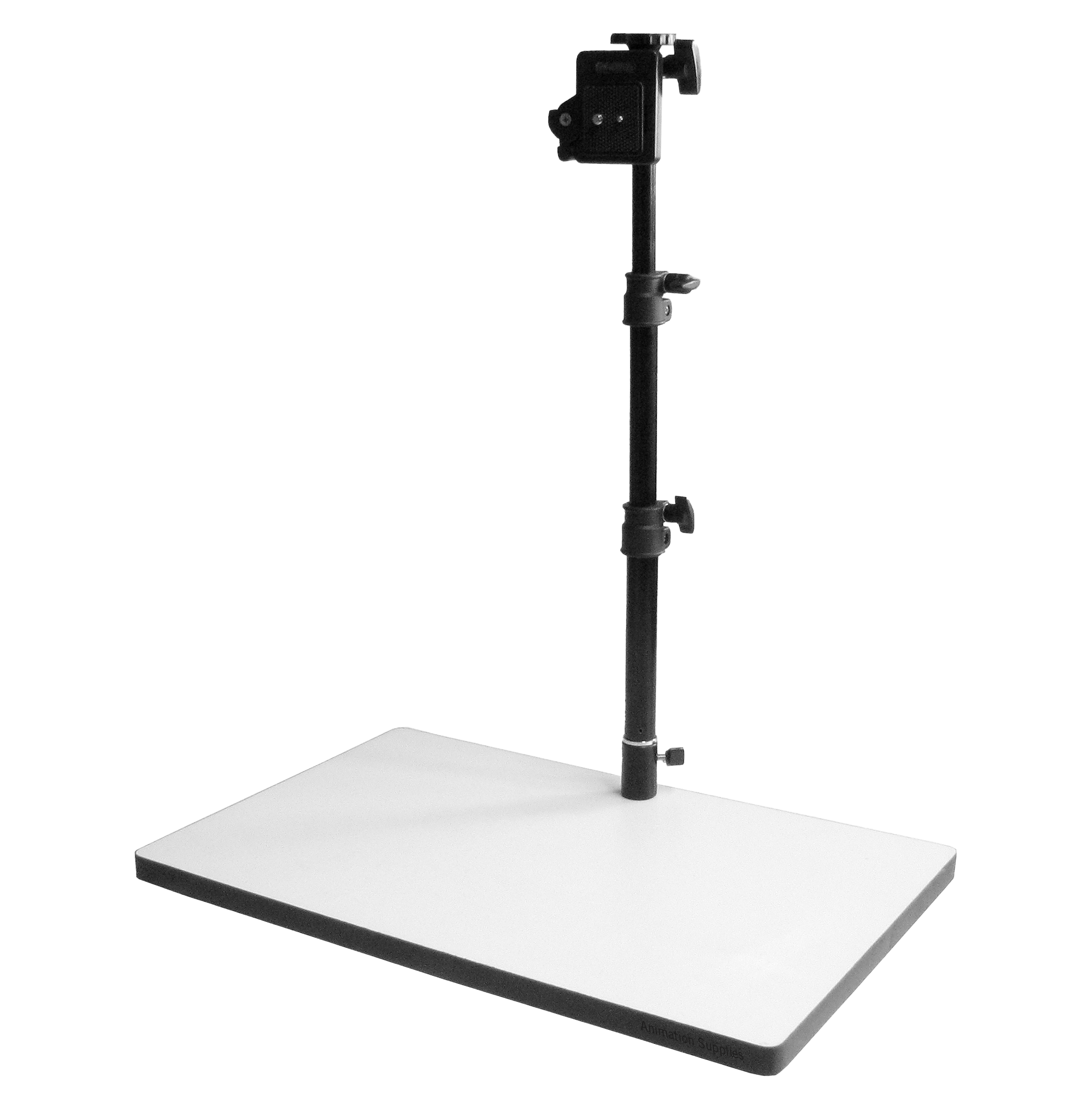 Medium Animation Rostrum