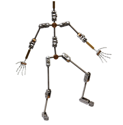 Standard Animation Armature Kit from Animation Supplies