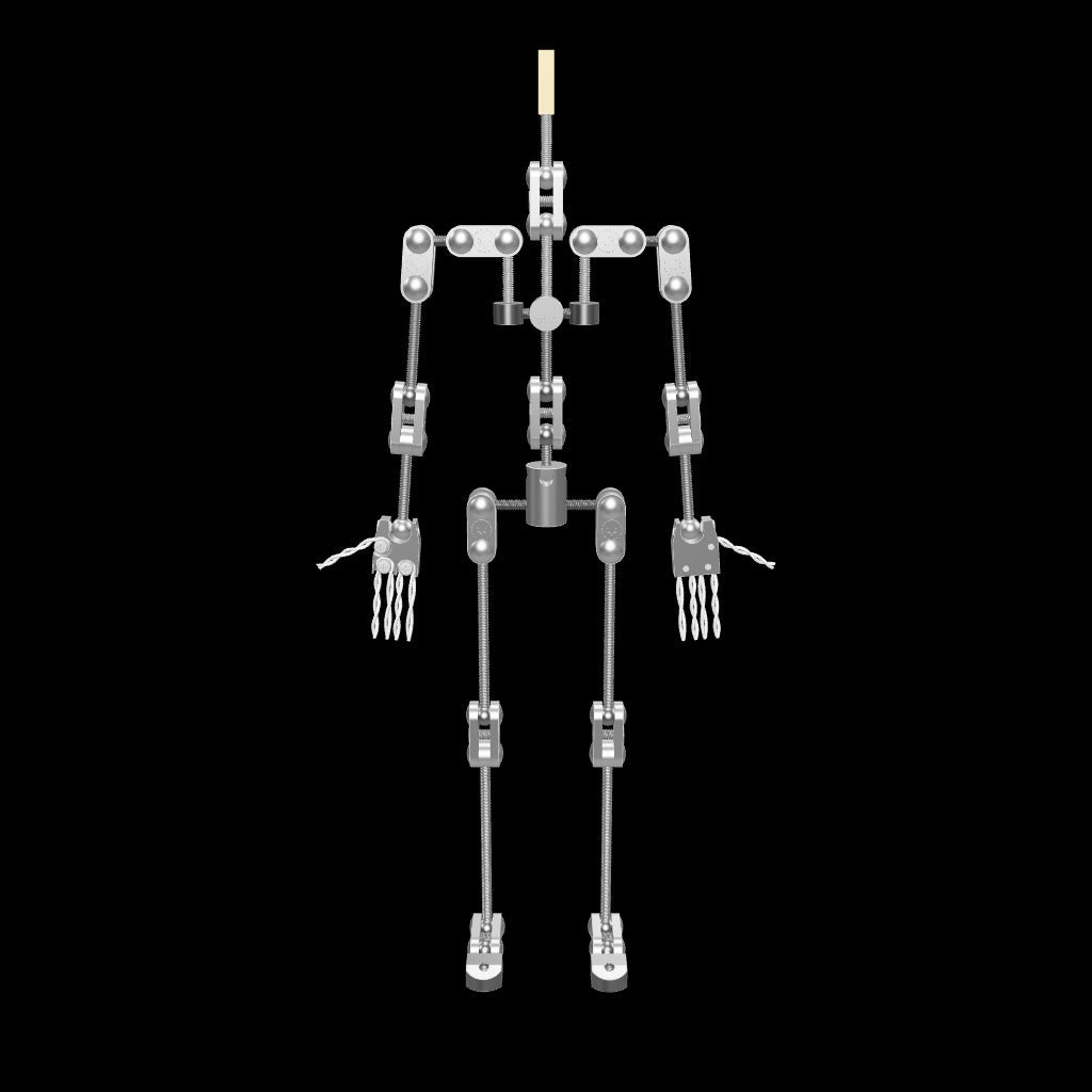 3D Model of the Animation Supplies ProPlus Armature.