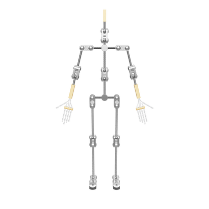 3D Model of the Animation Supplies Professional Armature Kit.